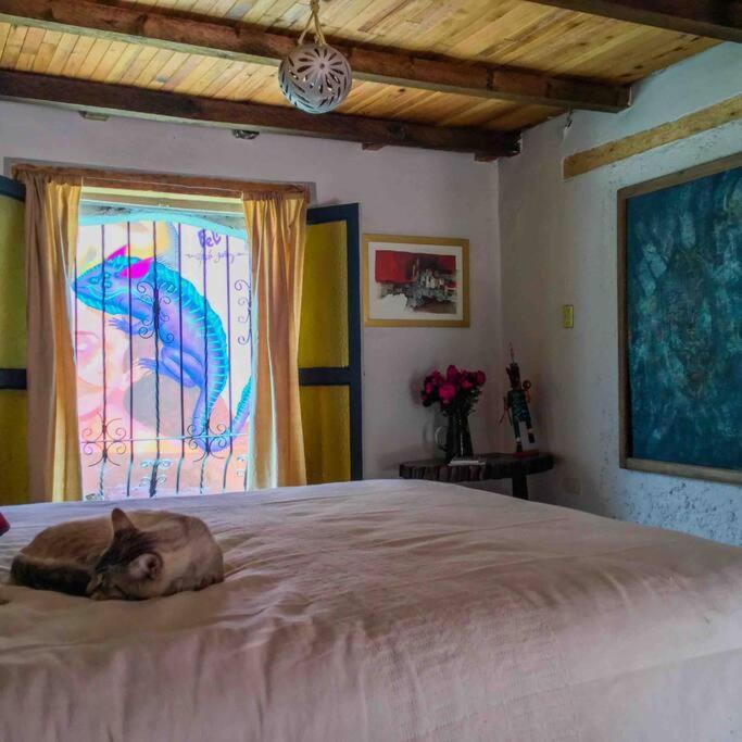 Casa Cerrillo Apartamento San Cristóbal de Las Casas Exterior foto